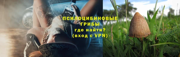 бошки Володарск