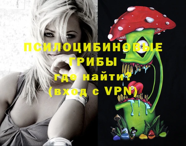 spice Волоколамск
