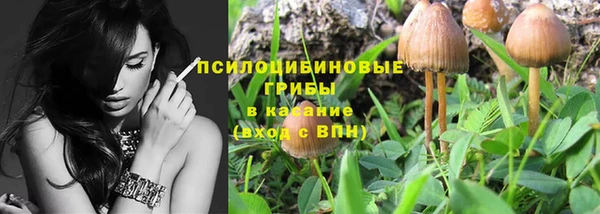 бошки Володарск
