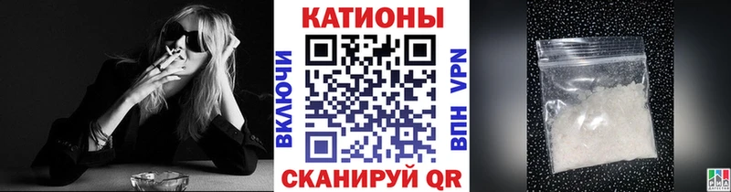 МЯУ-МЯУ мяу мяу  Зеленоградск 