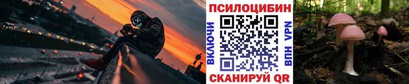 ОМГ ОМГ сайт Зеленоградск Псилоцибиновые грибы Magic Shrooms